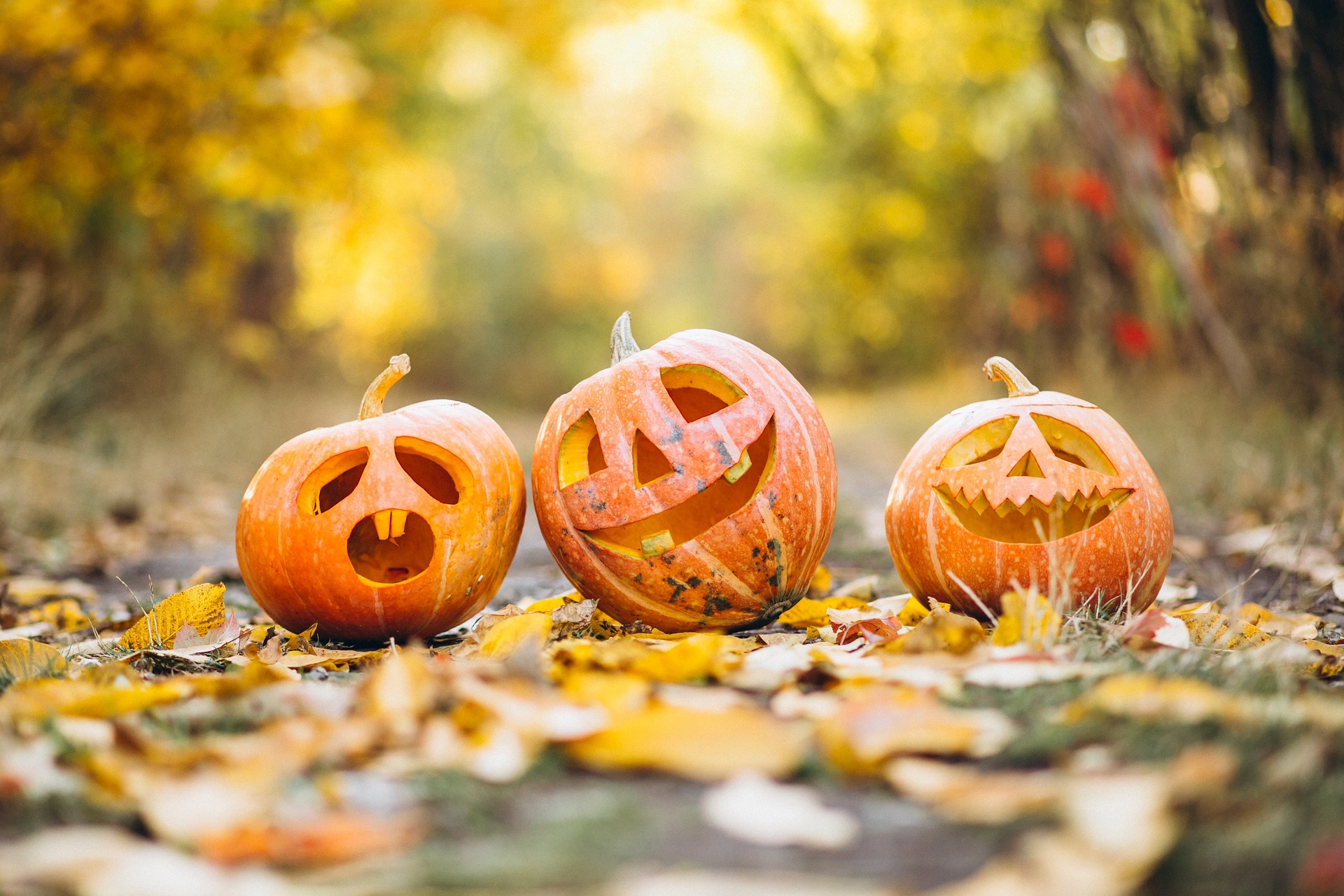 Halloween: 7 libri consigliati da leggere