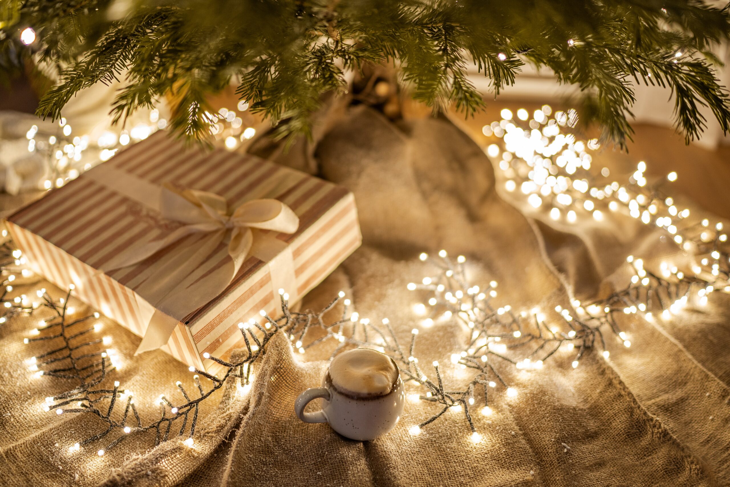 6 libri da leggere sotto l’albero di Natale